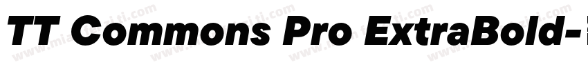 TT Commons Pro ExtraBold字体转换